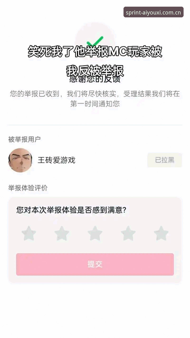 揭秘爱游戏平台真实安全性：你不知道的技术评测与用户反馈